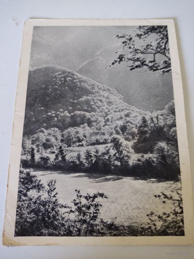 Открытка СССР 1955г.