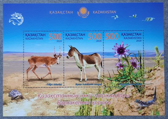2019фауна Казахстан