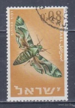 [1840] Израиль 1965. Фауна.Бабочка. Гашеная марка.