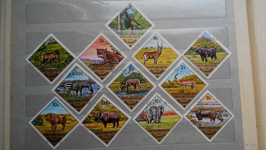 Марки - фауна, Гвинея, ромб - обезьяна, слон, лев, буйвол, бегемот, зебра, носорог, антилопа и др, 12 марок