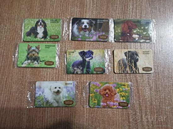 Магниты породы собак