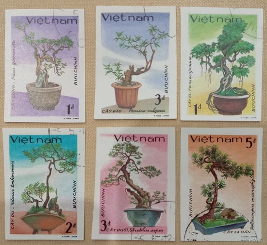 Вьетнам 1986. Бонсай. Полная серия