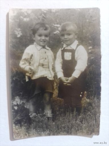 Фото в коллекцию