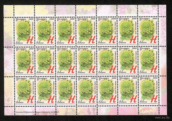 Беларусь. 2008. Стандарт. Циния (Н) (з.55-2010) Лист