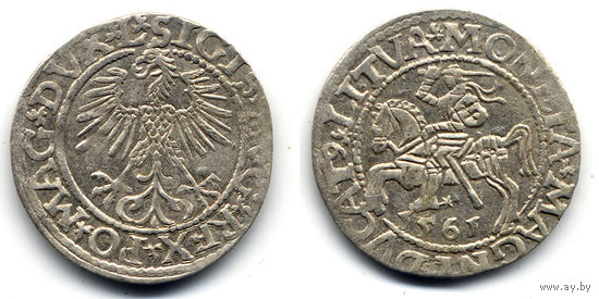 Полугрош 1561, Жигимонт Август, Вильно. Окончания легенд: Ав - L, Рв - LITVA. Коллекционное состояние