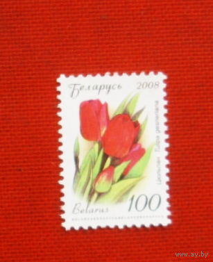 Беларусь. Стандарт. ( 1 марка ) 2008 года. 2-1.