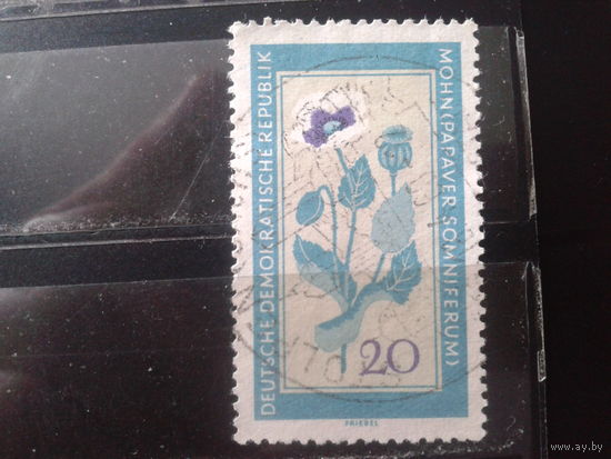 ГДР 1960 Цветы