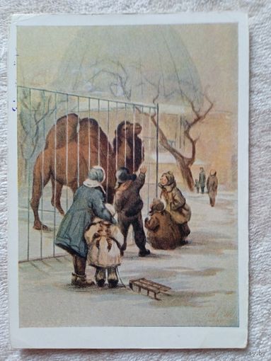 1958. Хинштейн. Уголок Московского зоопарка