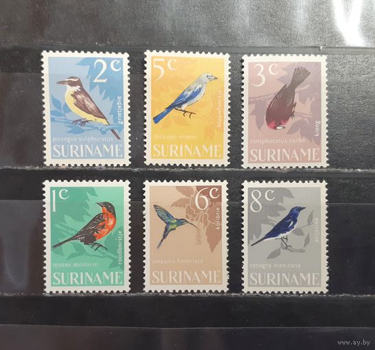 Суринам. Фауна. Птицы (1255)