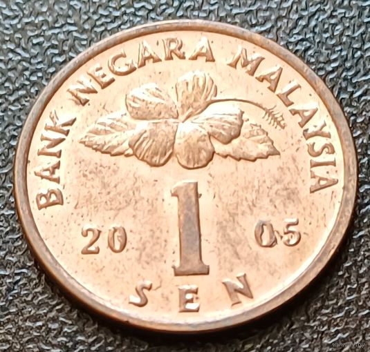Малайзия 1 сен, 2005     ( 2-2-4 )