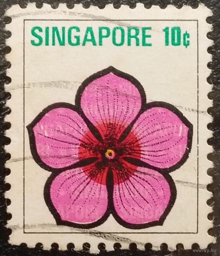 Сингапур. Флора. Цветы