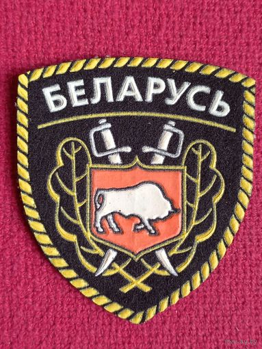 Шеврон Милиция Беларусь Зубр