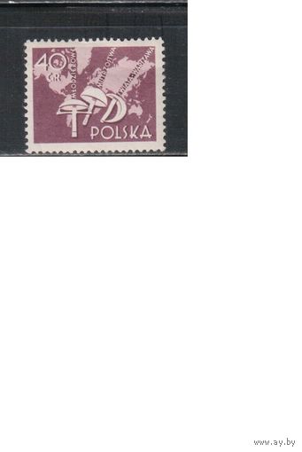 Польша-1957,(Мих.1005) *  , Спорт, Фектование