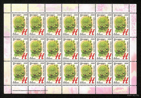 Беларусь. 2008. Стандарт. Циния (Н) (з.90-2011) Лист