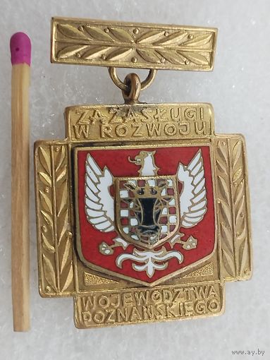 Знак ПНР. За заслуги в развитии Познаньского воеводства. тяжёлый, накладной