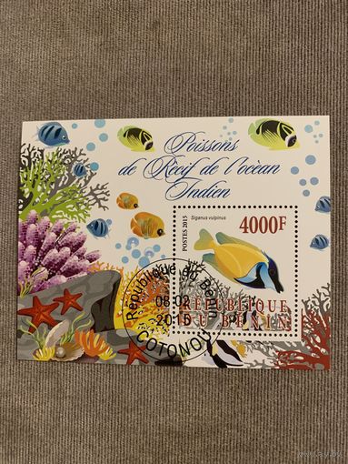 Бенин 2015. Коралловые рыбы