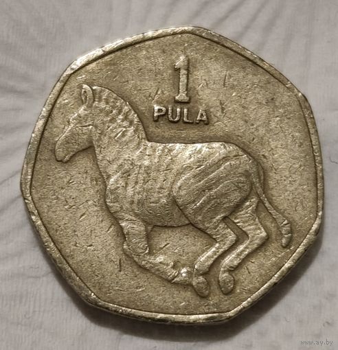 Ботсвана 1 пула, 2007 (14-5-13)