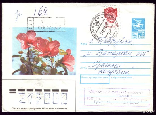Скидель 168