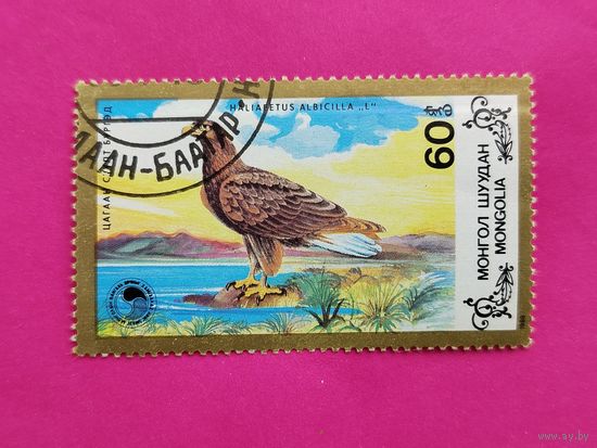 Монголия. Птицы. ( 1 марка ) 1988 года. 11-15.