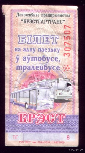 Брест ТГ 8