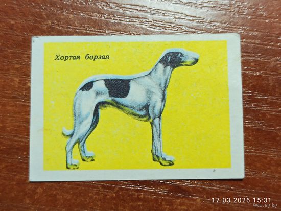 Спичечная этикетка Хортая борзая