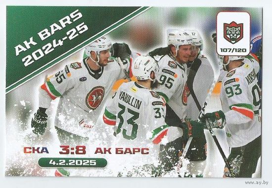 Команда 2024-25 / Коллекция "Ак Барс Казань 2025-206"