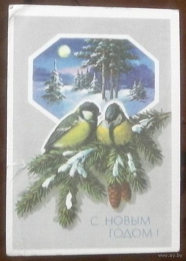 1989 год Ю.Куртенко С Новым Годом