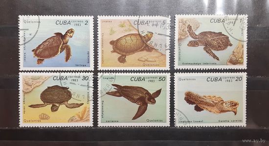 Куба. 1983 год. Фауна. Рептилии. Черепахи (1096)