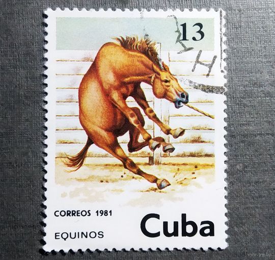 Марка Куба 1981 Лошадь