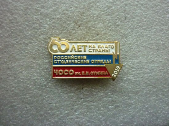Знак фрачный. Челябинский областной студенческий отряд им. П.И. Сумина. 2019. ССО. Латунь заколка.
