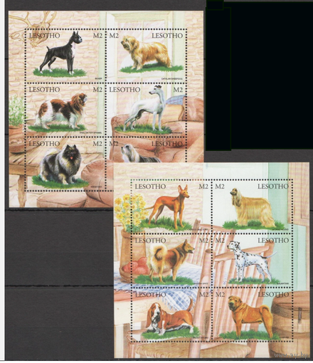 ЛЕСОТО ДОМАШНИЕ ЖИВОТНЫЕ ДОМАШНИЕ ЖИВОТНЫЕ СОБАКИ   MNH