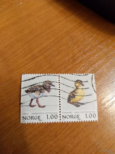 1980 Норвегия сцепка из буклета фауна птицы птенчик (3-9)