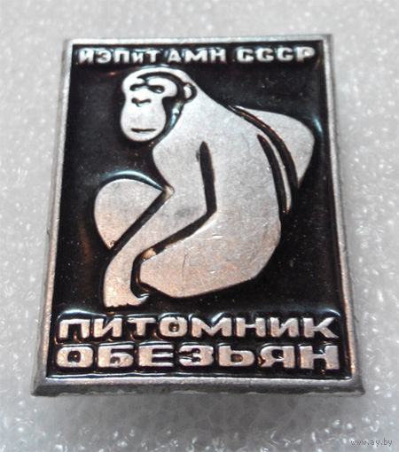Питомник Обезьян. ИЭПиТ АМН СССР  #0065