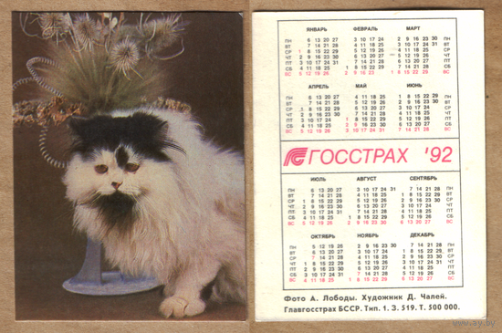 Календарь Госстрах 1992