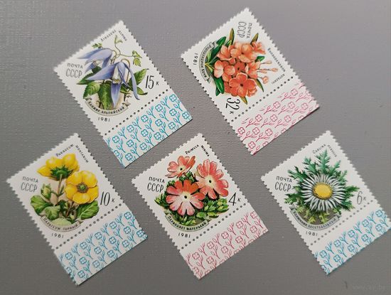 Цветы Карпат. СССР, 1981