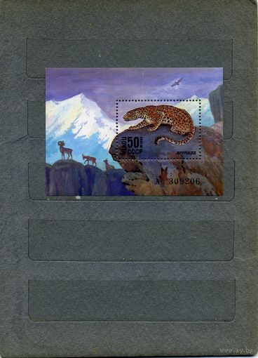 СССР, 1985, почт. блок   188 **     ,ЛЕОПАРД  чистая