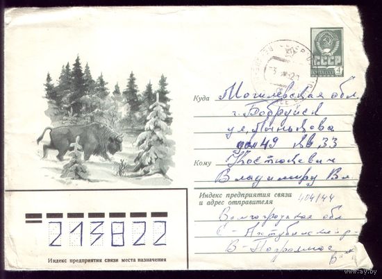 1980 год А.Ляпин Зубр