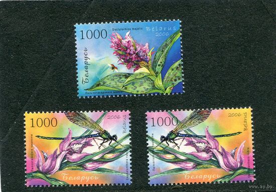 Беларусь 2006. Цветы. Орхидеи