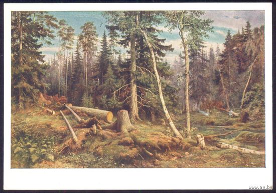 СССР ИЗОГИЗ 1955 Шишкин "Рубка леса"