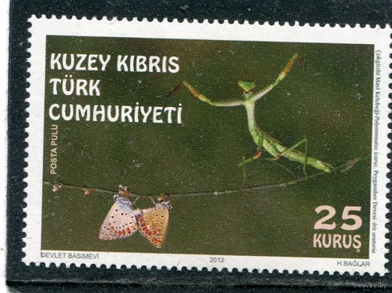 Турецкий Кипр. Фауна. Бабочки. Насекомые