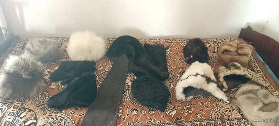 Коллекция шапок из СССР