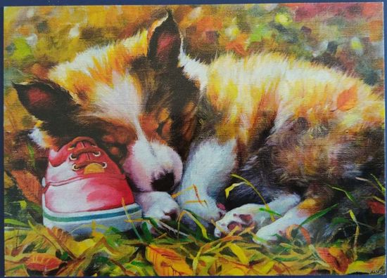 Щенок и ботинок. Е.Рязанова. Украина.