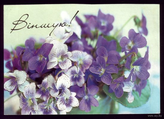2003 год Вiншую