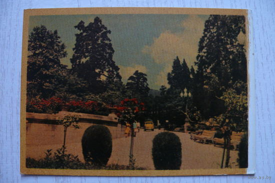 Крым. В Ливадийского парке; чистая (изд. "Радзянска Украiна").