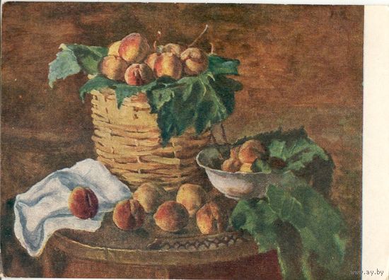 Открытка СССР. Персики. Кончаловский. 1956