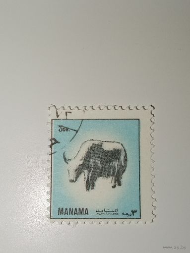 Манама. Фауна. 1972г.