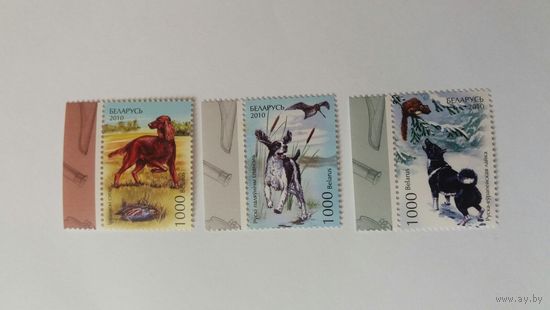 РБ 2010 3м собаки