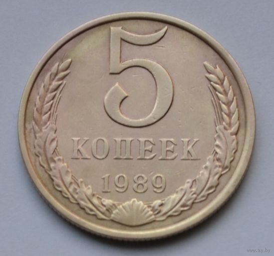 5 копеек 1989 г.