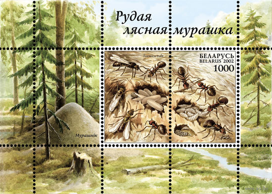 2002 БЕЛАРУСЬ блок коллекционных марок Муравьи  MNH