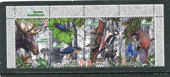 Беларусь 2014. Фауна. Налибокская пуща. Верхняя сцепка листа
